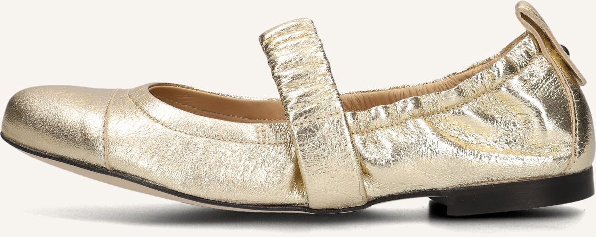BLASZ 17600118 Ballerina's Dames - Goud - Maat 38