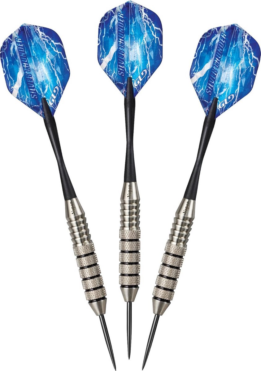 Professionele Steeltip Dartpijlen Set - 25 Gram - Zilveren Design