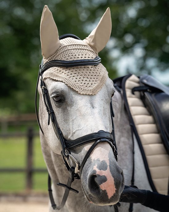 Hoofdstel voor paarden QHP Salerno
