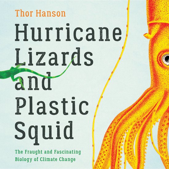 Hurricane Lizards and Plastic Squid - cover