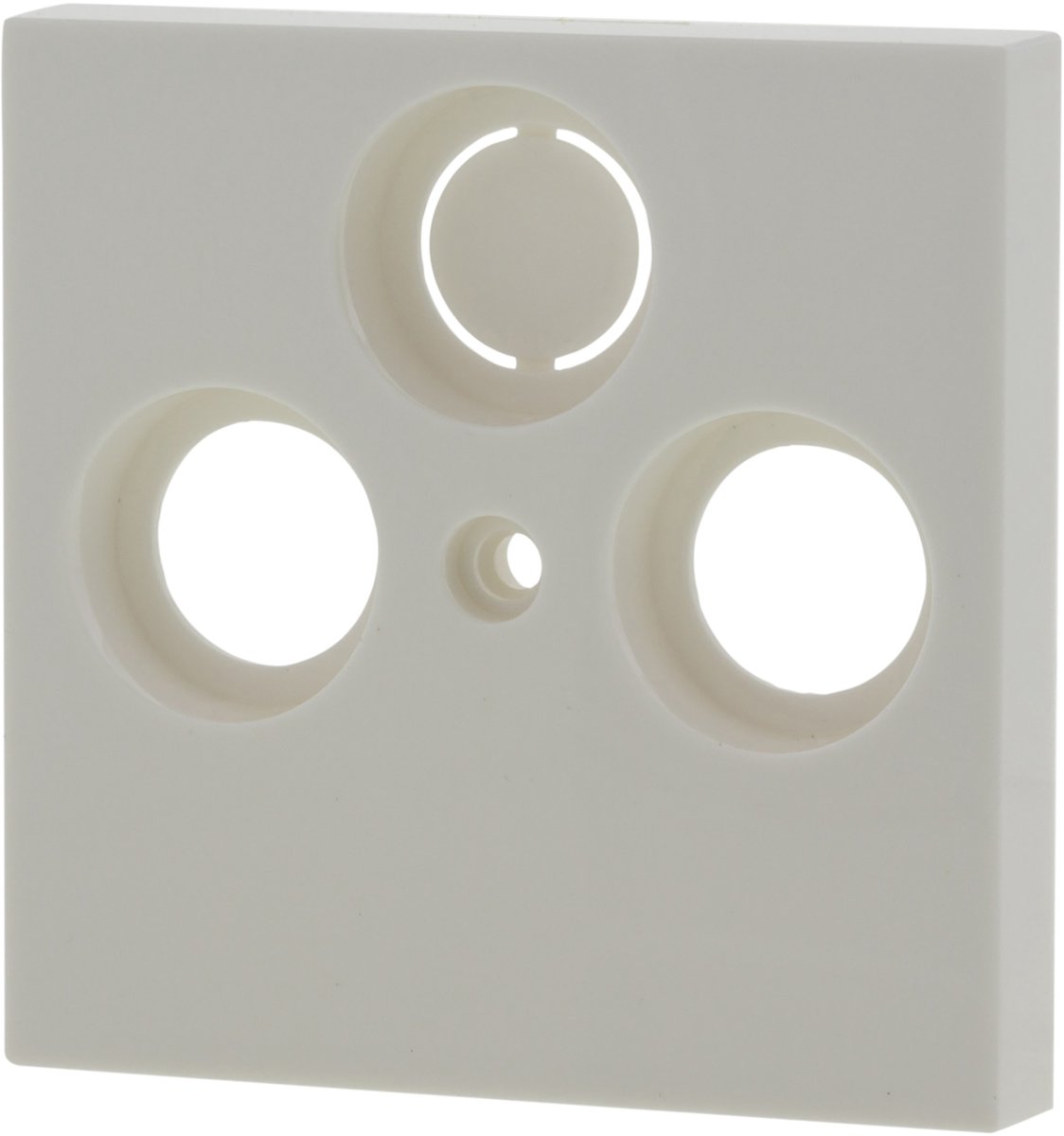 Gira System 55 centraalplaat - radio/tv - polarwit