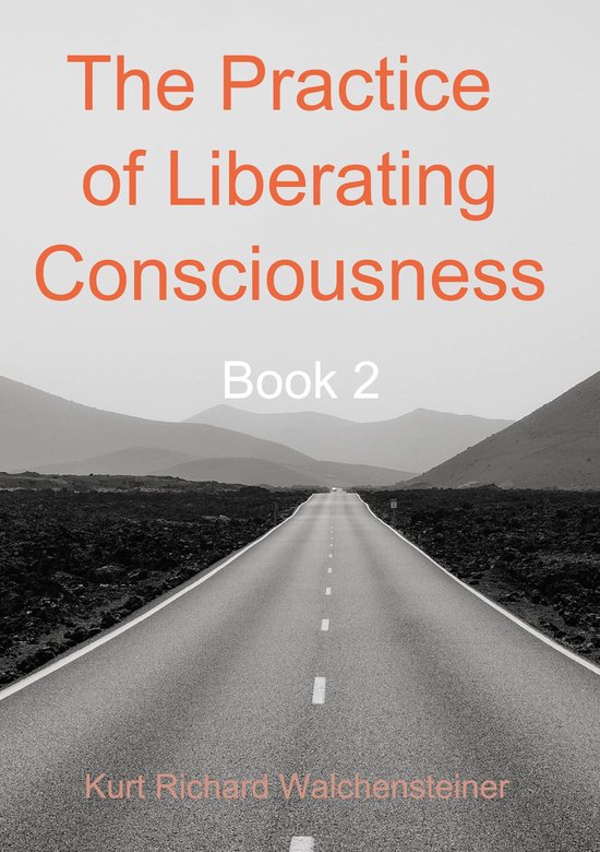 The Practice of Liberating Consciousness 2 - The Practice  ... - cover
