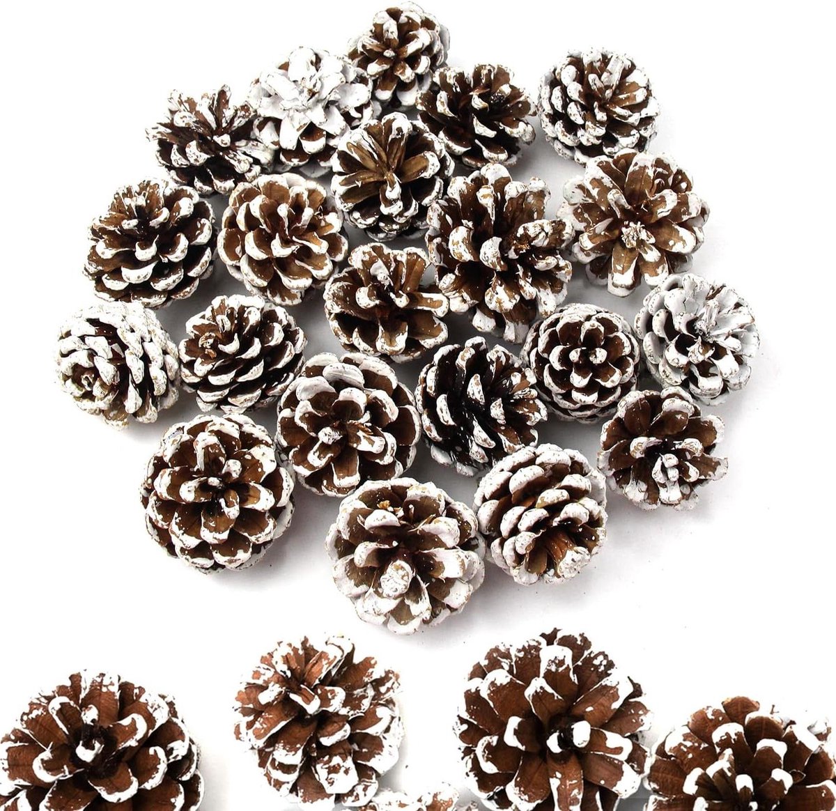 Cosensi - Mini-kerstdennenappels 32 stuks, natuurlijk 3-4 cm, decoratieve DIY Halloween Kerst decoratie.