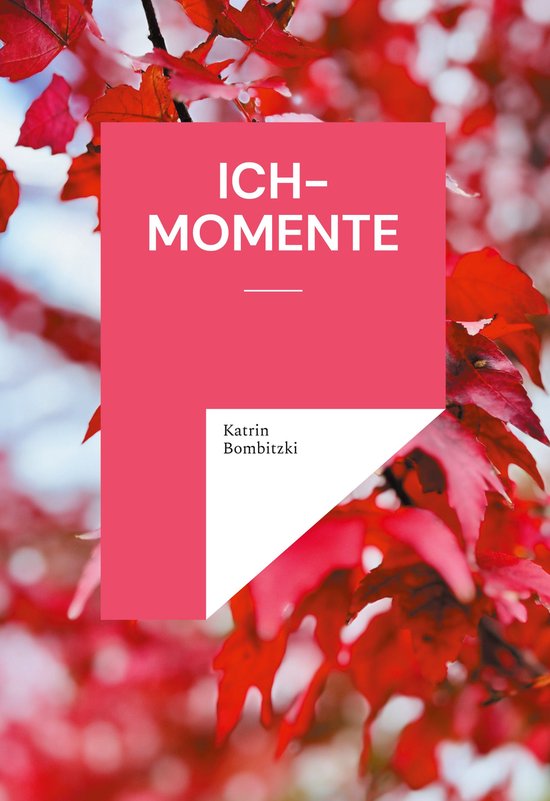 Ich-Momente - cover