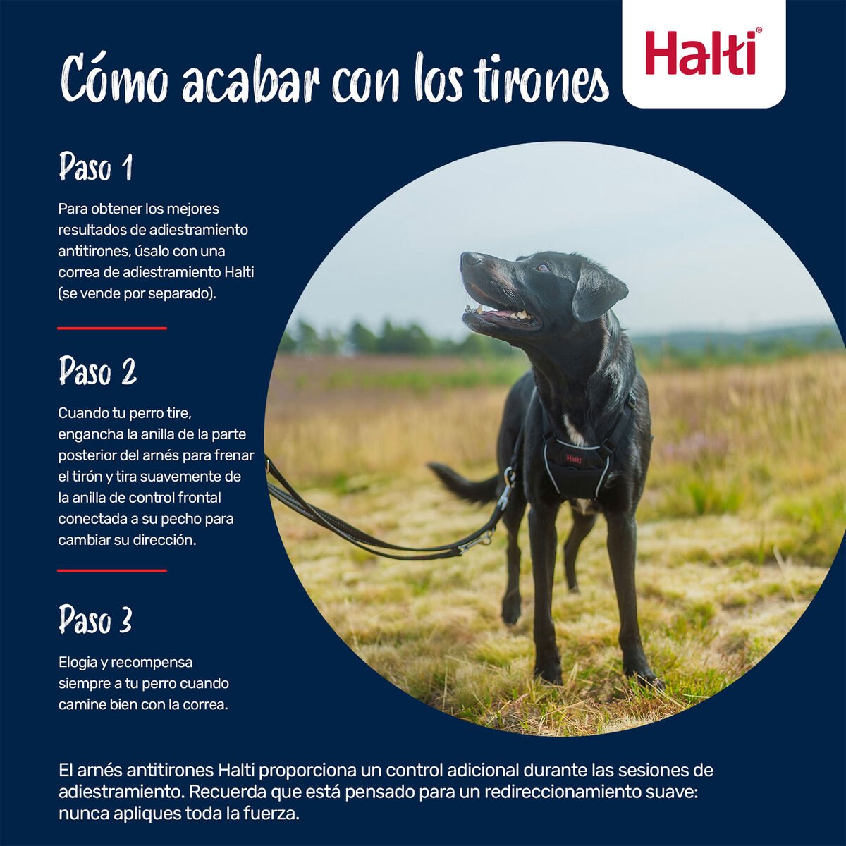 Hondentuigje Company of Animals FOREST Groen 20