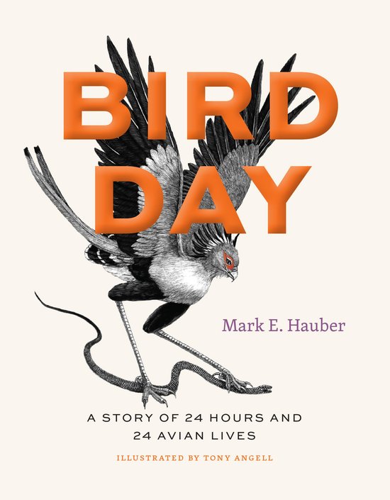 Bird Day - cover