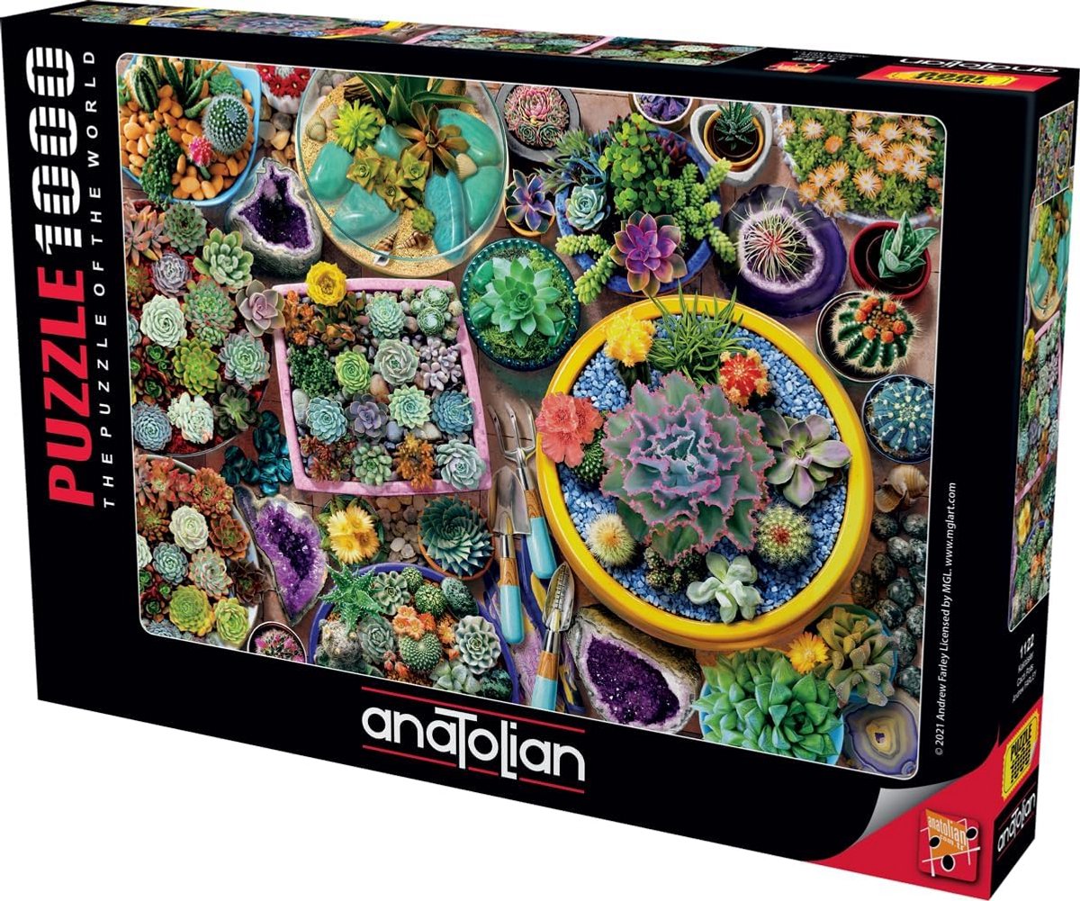Puzzel 1000 Stukjes Cactussen Mooie Kleurrijke Illustratie