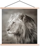 Affiche textielposter Lion regardant ailleurs lattes vierge 60x60 cm