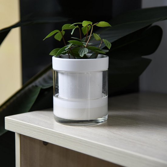 Antieke Olielamp Met Een Ophangbeugel Met Glazen Reservoir 20220926 135638