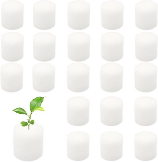 Peosaard Neopreen kloonkragen, 40 stuks kloonkragen, hydrocultuur sponzen kloonkragen, 8 spaken doe-het-zelf schuim kloner insert fit 2 inch netpotten, hydrocultuur, aeroponics Peosaard Neopreen kloonkragen, 40 stuks kloonkragen, hydrocultuur sponzen kloonkragen, 8 spaken doe-het-zelf schuim kloner insert fit 2 inch netpotten, hydrocultuur, aeroponics