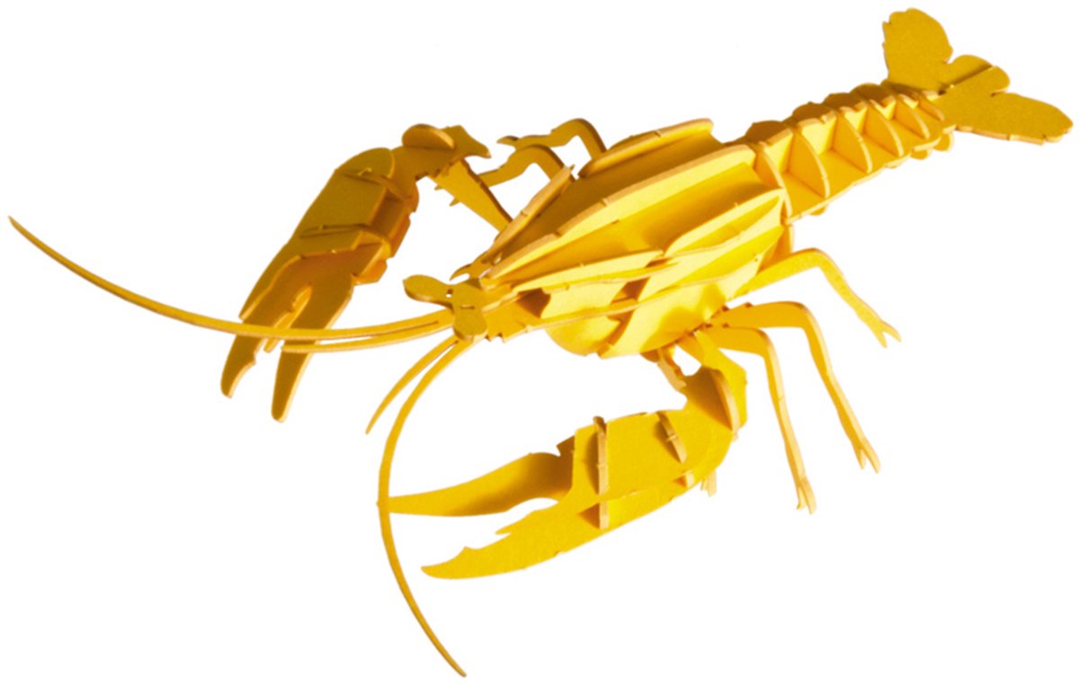 FRIDOLIN 3D Papier Model - Kreeft.