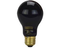 Nachtelijke warmtelamp 50 W voor reptielen | Terrarium verwarming