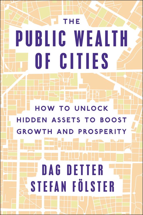 The Public Wealth of Cities - cover