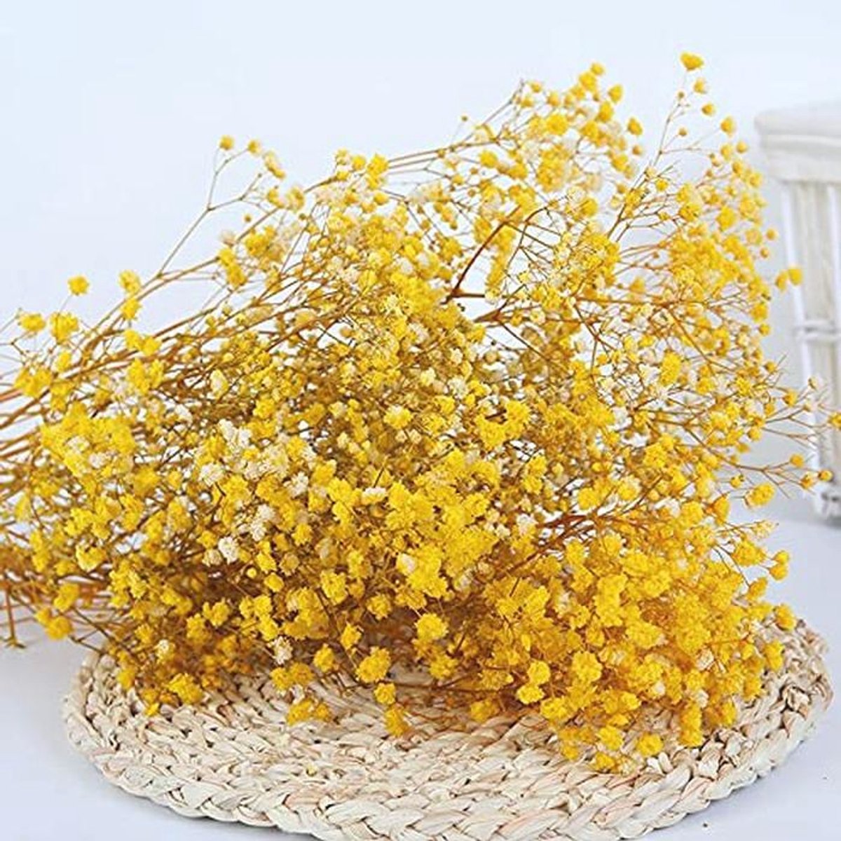 YIWOYI Natuurlijke droogbloemen Gypsophila vers gedroogde geconserveerde bloemen Gypsophila Paniculata bloemboeketten voor bruiloftsfeest huisdecoratie (geel, 40-55 cm, 80 gram)