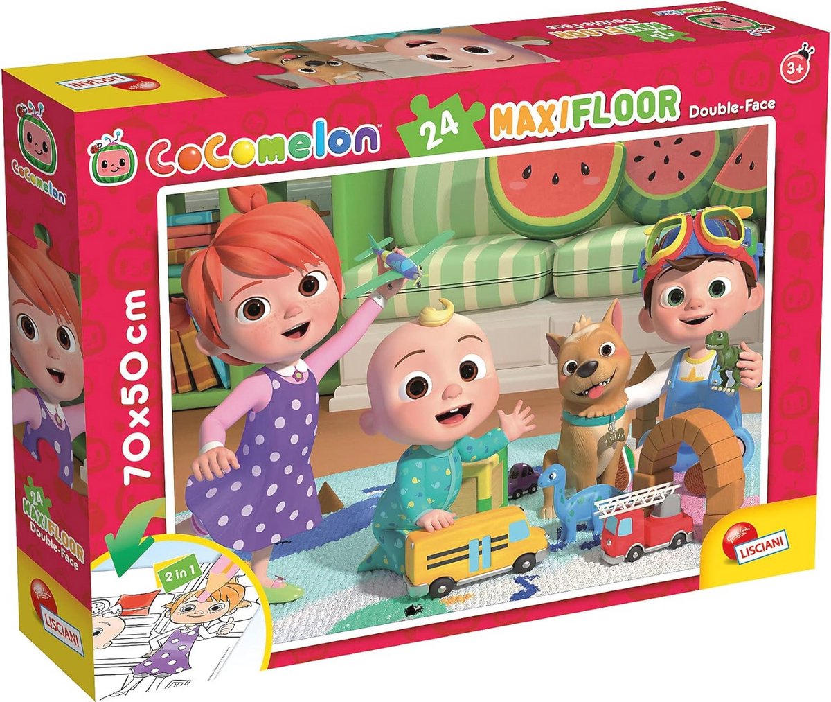 Vloerpuzzel Zomerse Dag 24 Stukjes