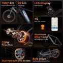 Overzicht van kenmerken Hitway elektrische fiets: 700C*42C banden, 80km bereik, LCD display, 4G locatie, aluminium frame, 250W motor, dubbele schijfremmen, riemaandrijving.
