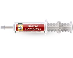 Vitalstyle GastroComplex+ - Paarden Supplement - Ondersteund direct een gezond Maagslijmvlies - met Bufferende Mineralen - 60 ml