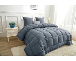 Wasbaar Dekbed met Vaste Overtrek-Donker grijs / Zilver grijs-200 x 200 (2-persoons)