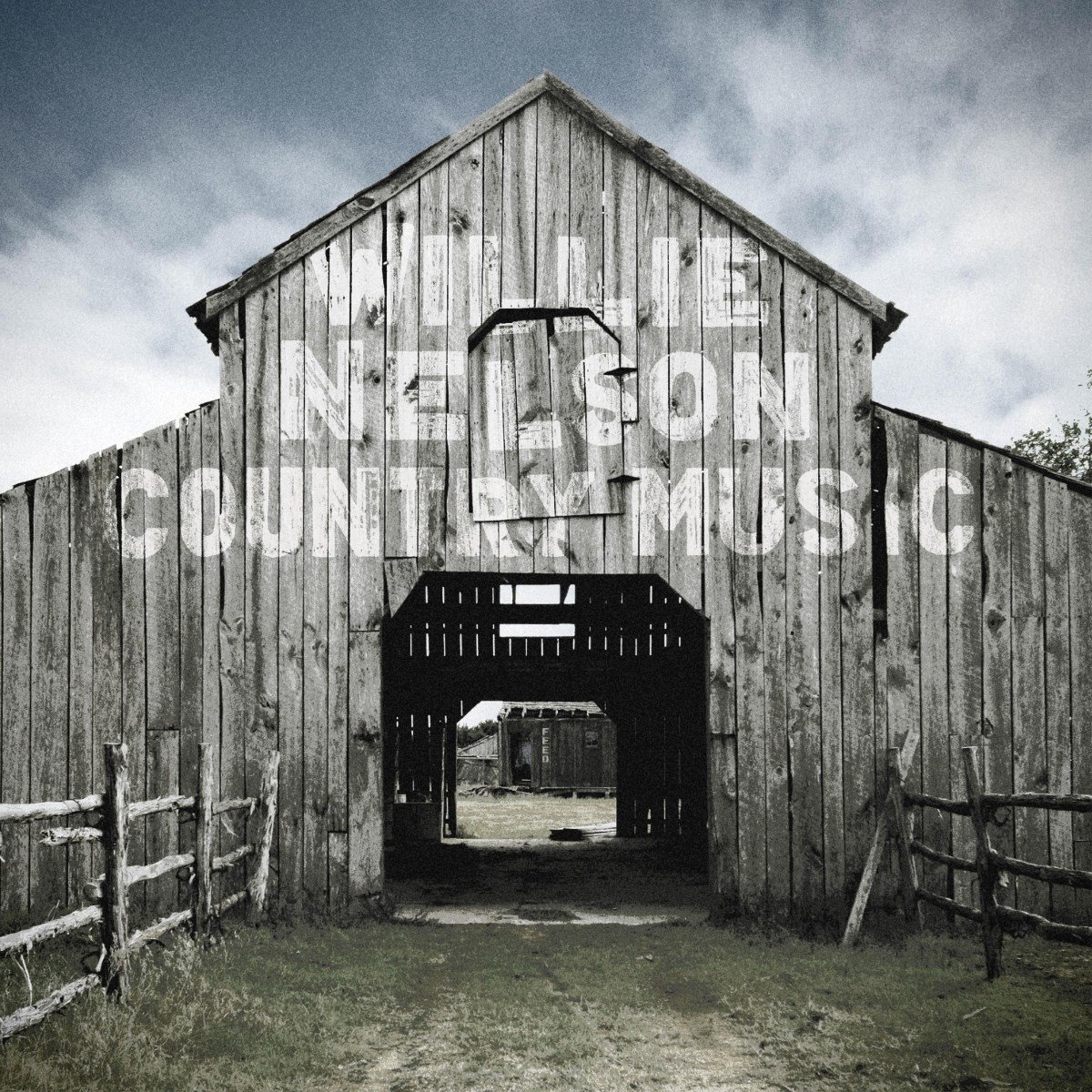Willie Nelson - Country Music (2 LP)