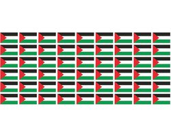 INDIGOS UG - Mini stickerset - pak glad - 20 x 12 mm - zelfklevende stickers - Palestina - vlag - banner - standaard voor auto, kantoor, thuis en school - 54 stuks - voor auto, laptop