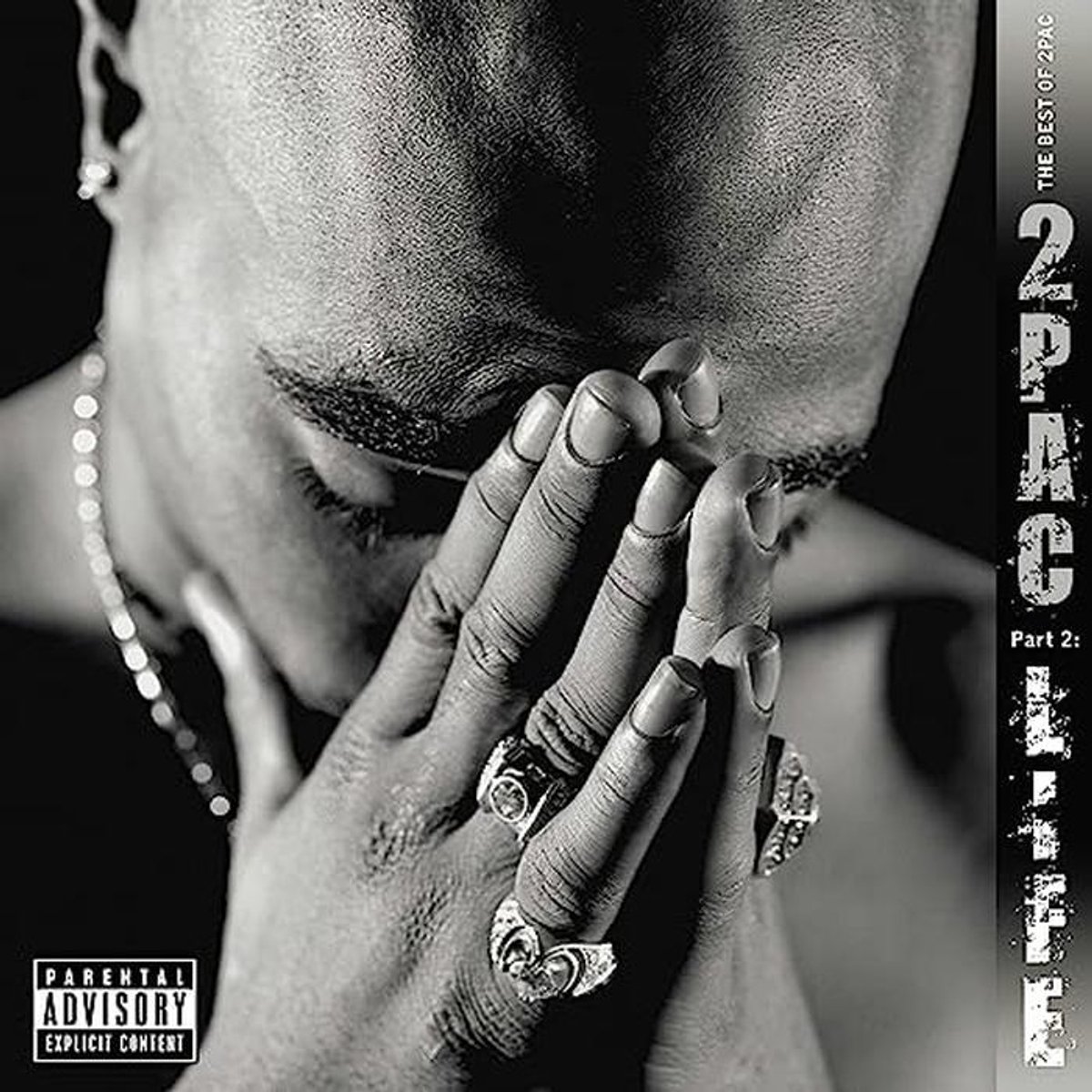 The Best Of 2pac - Pat. 2:Life op 2xVinyl