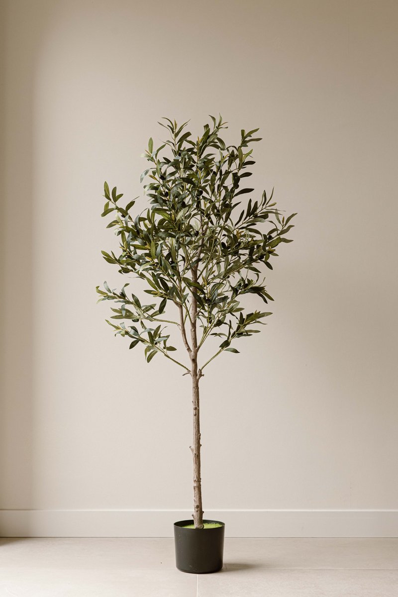 Indore Home Indore Silva Kunst Olijfboom 155 cm – Olijfboom Kunstplant – Mediterrane Kamerplant – Onderhoudsvrij Groen