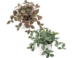 Small Artificial Plants Indoor Pot Set of 2 Decorative Fake Plants Realistic Potted Artificial Plant for Home Aesthetic Living Room Bathroom Desk Shelf Office Decoration