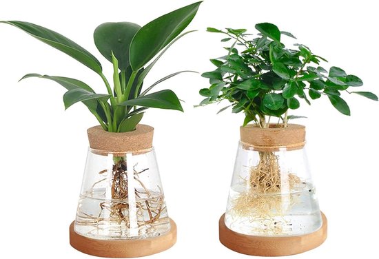 Hewory 5-delige vliegenzwammen paddenstoelen glazen vaas kleurrijk voor tafeldecoratie, mini-vazen set esthetische woonkamer decoratie