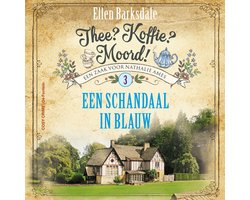 Omslag van Een schandaal in blauw