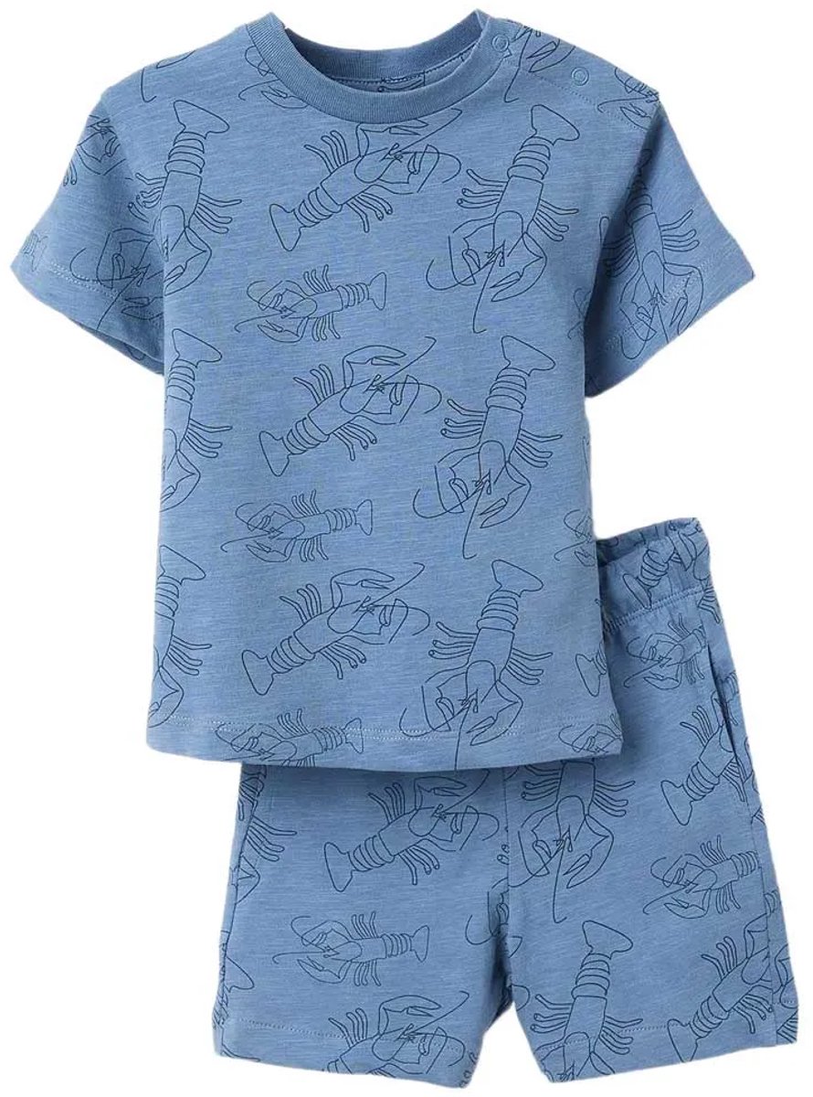 Zippy 3107119301 Set Blauw 6-9 Months Jongen