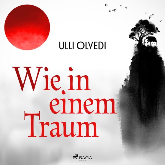 Wie in einem Traum - cover