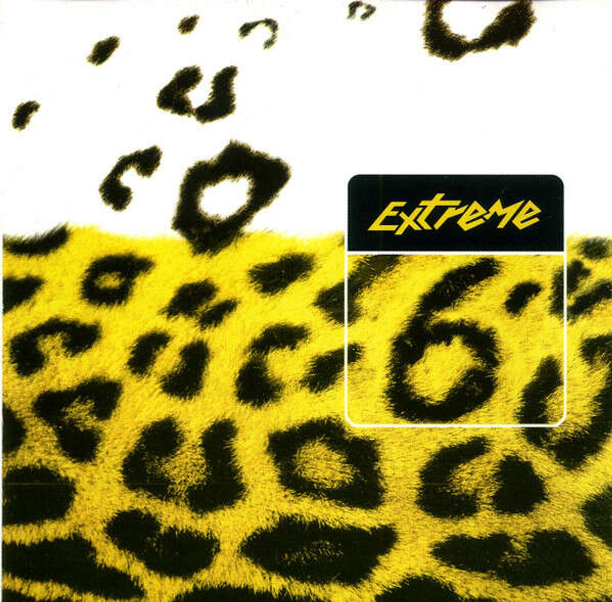 Extreme 6