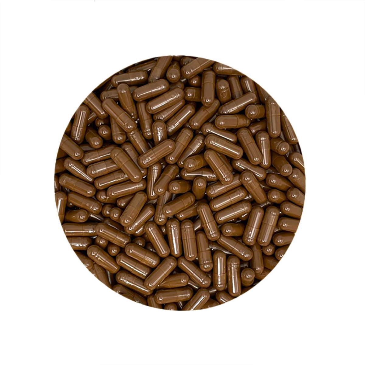 Chaga Capsules 500mg - 5000 Capsules - VehGro