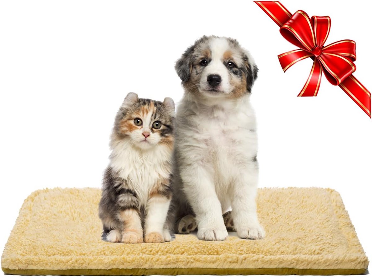 Zacht Omkeerbaar Hondenbed & Kattenmat - Wasbare Pluche Slaapmat voor Bench en Bank