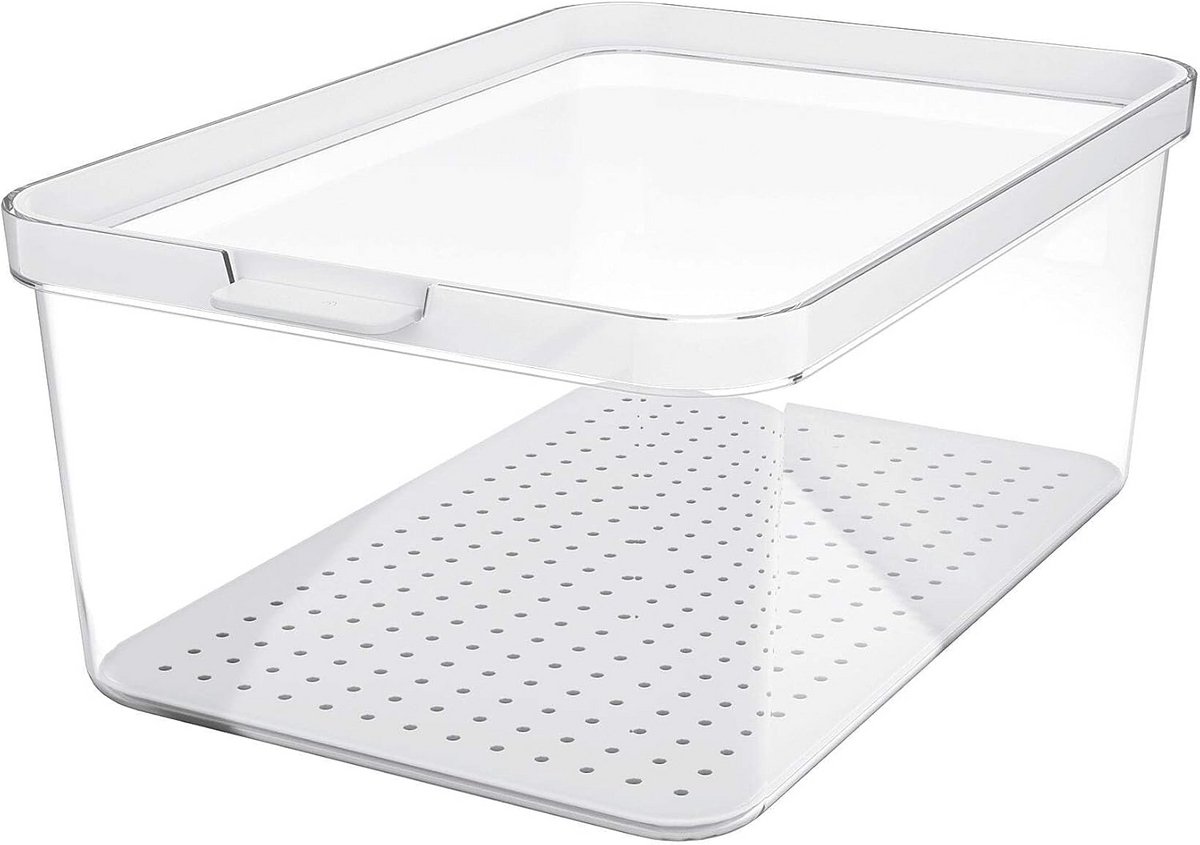 Koelbox met deksel 4,65 l - Ideaal voor picknicks en kamperen