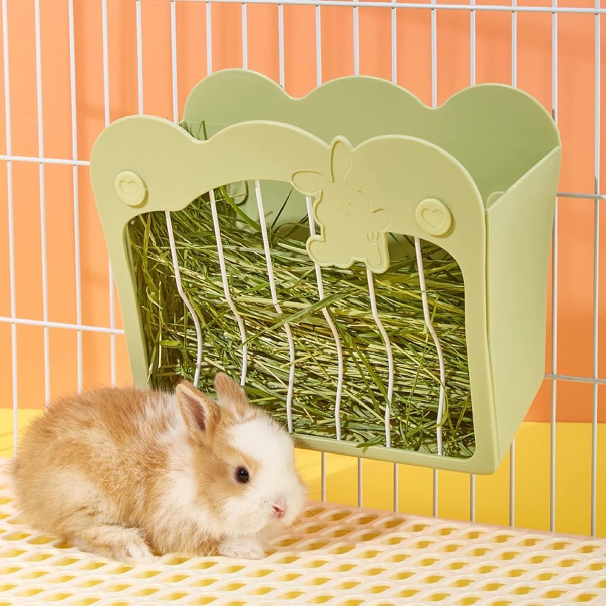 Dailygoods- Hooiruif – Hooihouder voor konijnen/cavia’s