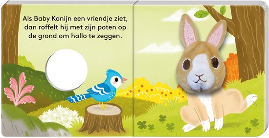 Vingerpopboekjes - Baby Konijn