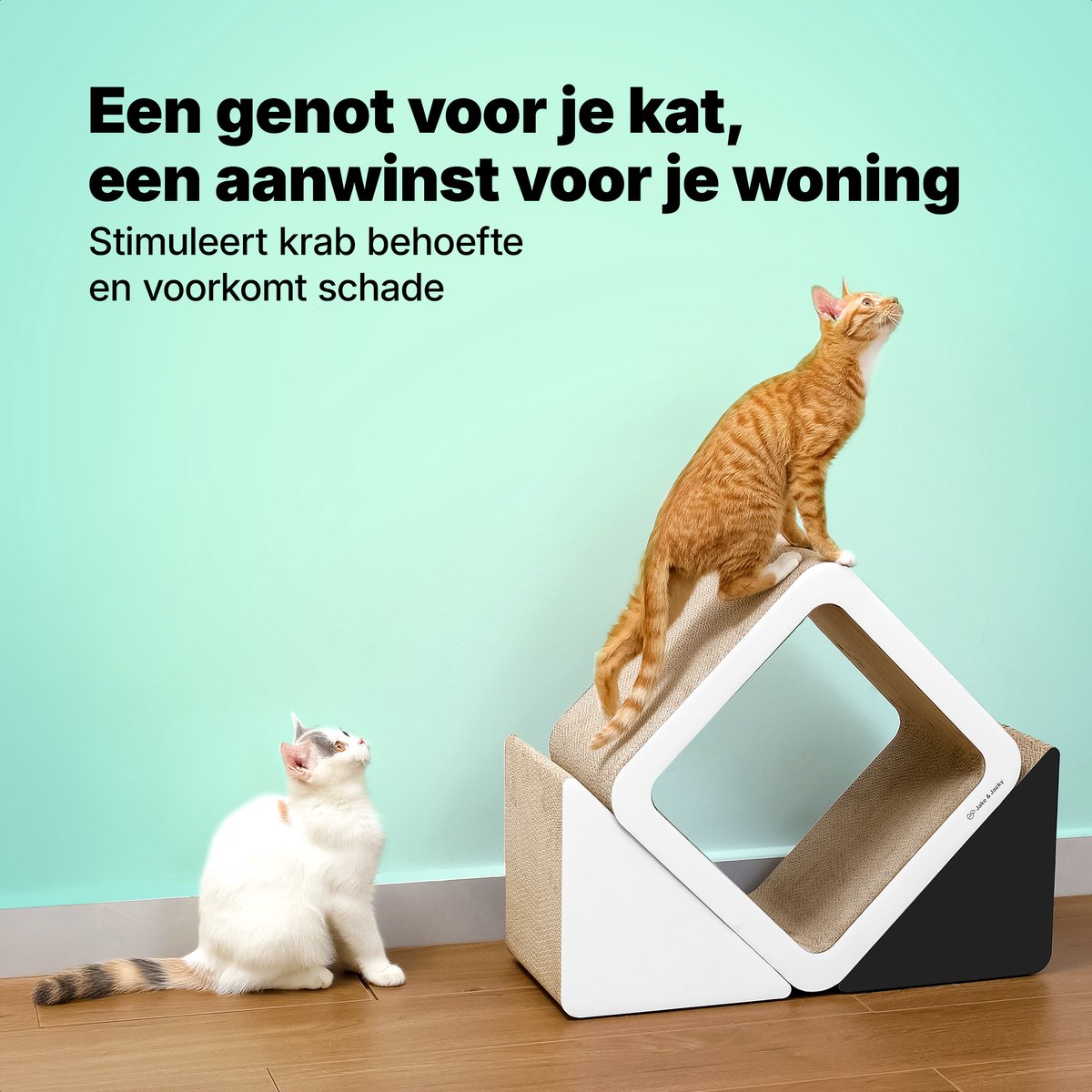 Jake and Jacky Krabkarton voor Katten - Krabpaal Karton - Krabplank - Krabmand - Krabmeubel - Kartonnen Krabmat - Kattenmand - Kattenbed – foto 6