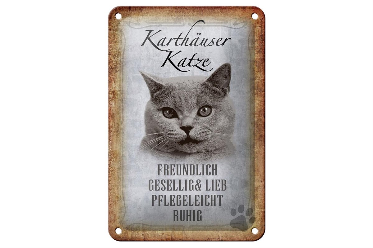 Blechschild Spruch 12x18cm Karthäuser Katze lieb Schild