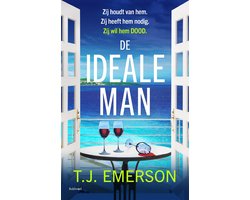 Omslag van De ideale man