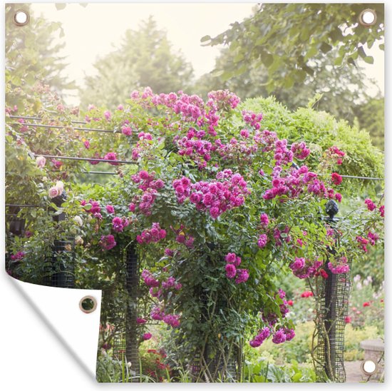 Tuinposters Mooie roze rozen groeien als planten in de wilde natuur - 50x50 cm - Tuindoek - Buitenposter