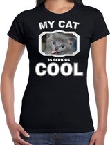 Grijze kat katten t-shirt my cat is serious cool zwart - dames - katten / poezen liefhebber cadeau shirt S