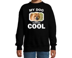 Chow chow honden trui / sweater my dog is serious cool zwart - kinderen - Chow chows liefhebber cadeau sweaters - kinderkleding / kleding 152/164