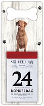 Scheurkalender 2024 Hond: Chesapeake Bay Retriever