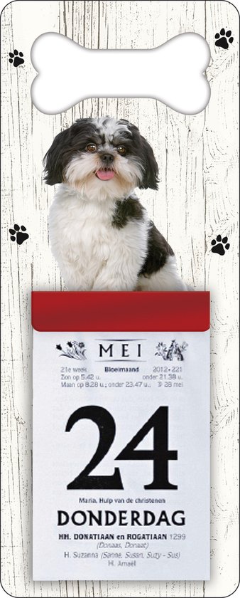 Winkelier Christendom boog Scheurkalender 2023 Hond: Boomer | bol.com