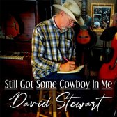 David Stewart - Still Got Some Cowboy In Me (CD)