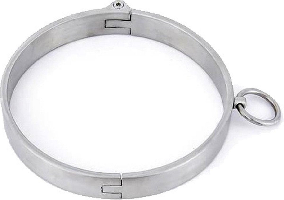Goedkoopste Halsband metaal met aanlijnring binnenmaat 13.8cm