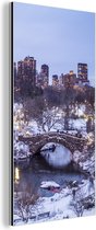 Wanddecoratie Metaal - Aluminium Schilderij Industrieel - New York - Central Park - Winter - 80x160 cm - Dibond - Foto op aluminium - Industriële muurdecoratie - Voor de woonkamer/slaapkamer