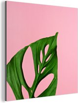 Wanddecoratie Metaal - Aluminium Schilderij Industrieel - Botanisch blad op een roze achtergrond - 90x90 cm - Dibond - Foto op aluminium - Industriële muurdecoratie - Voor de woonkamer/slaapkamer