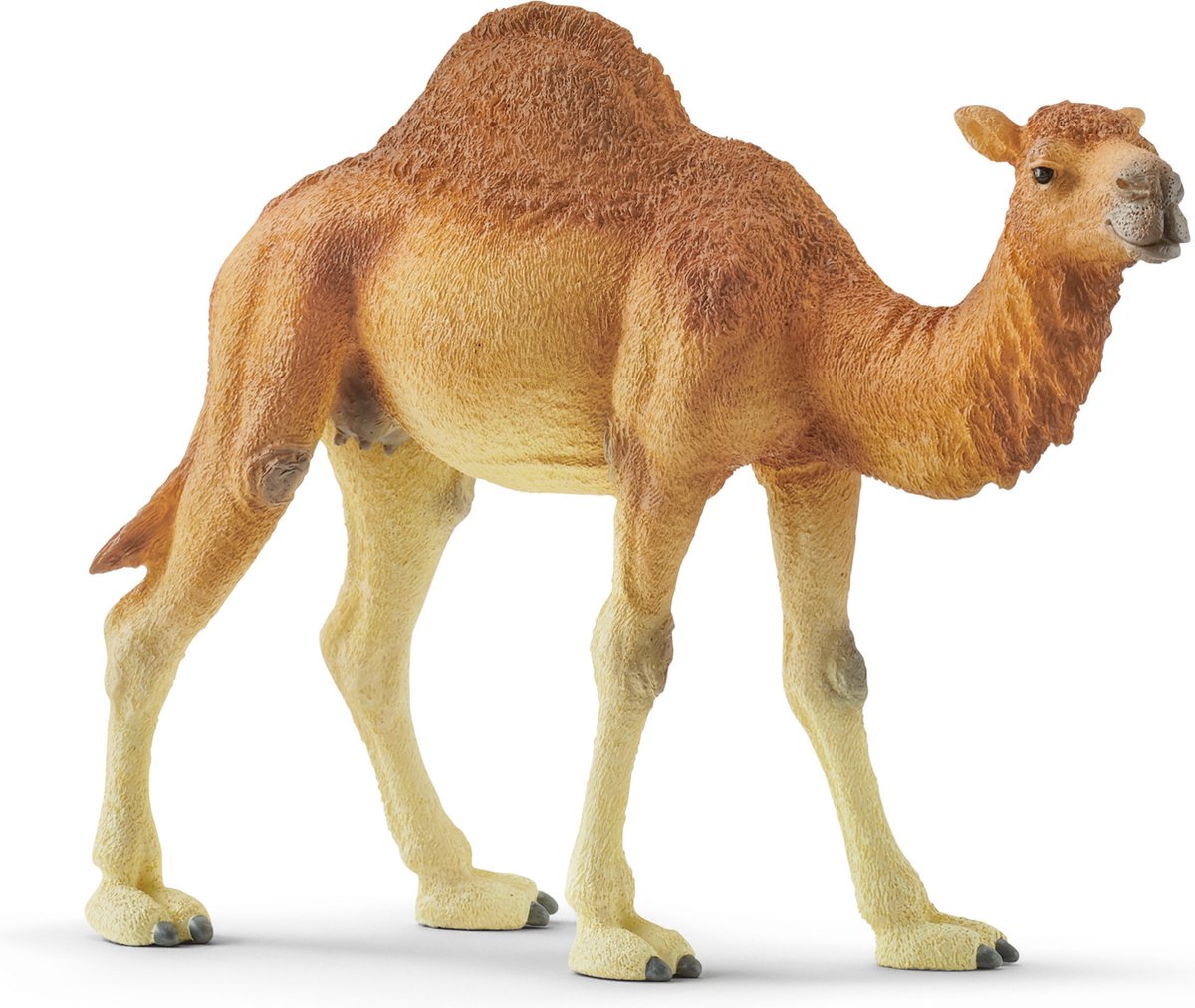 Schleich Wild Life Dromedaris: natuurgetrouw speelfiguur thumbnail 2